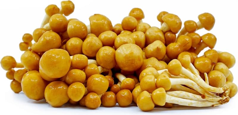 Ciuperci Enoki