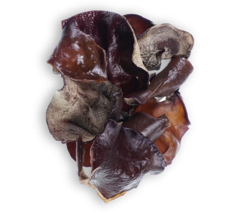 Ciuperci "Urechi de lemn"
