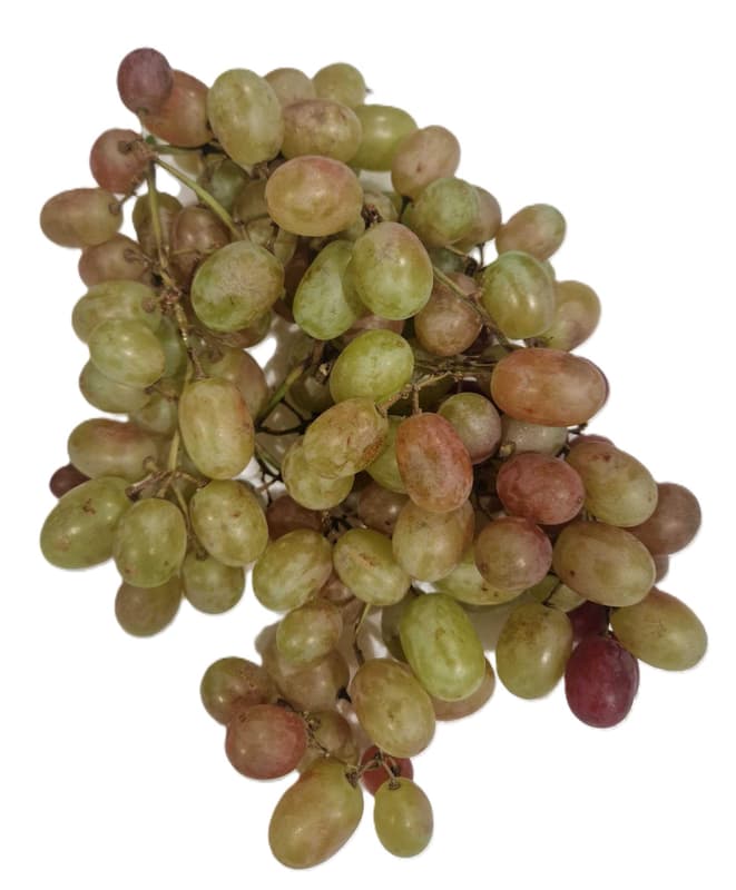 ECO Black Magic Black Grapes from Italy