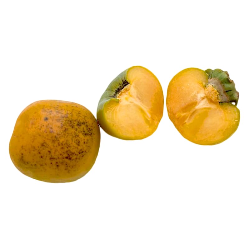 ECO Maxim variety Kaki with imperfect appearance and great taste