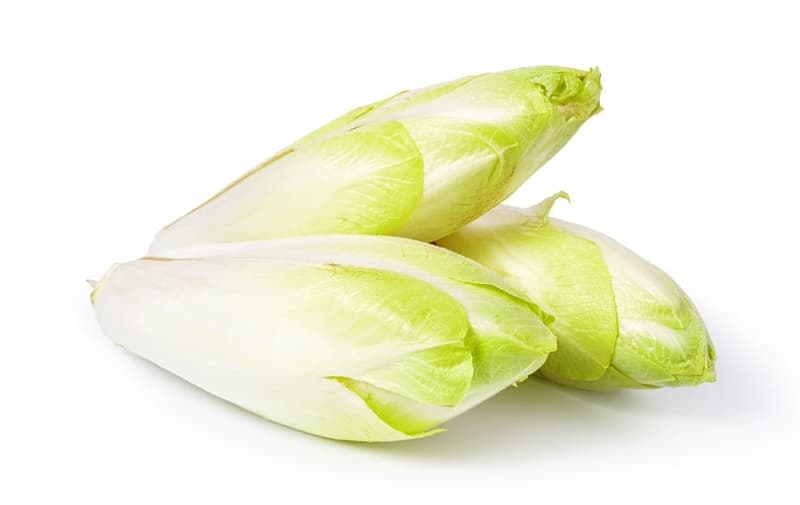 ECO Packed Endives