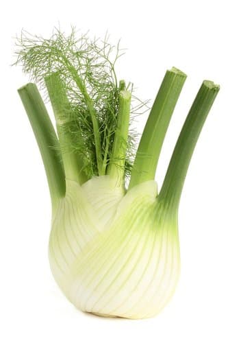 ECO Fennel