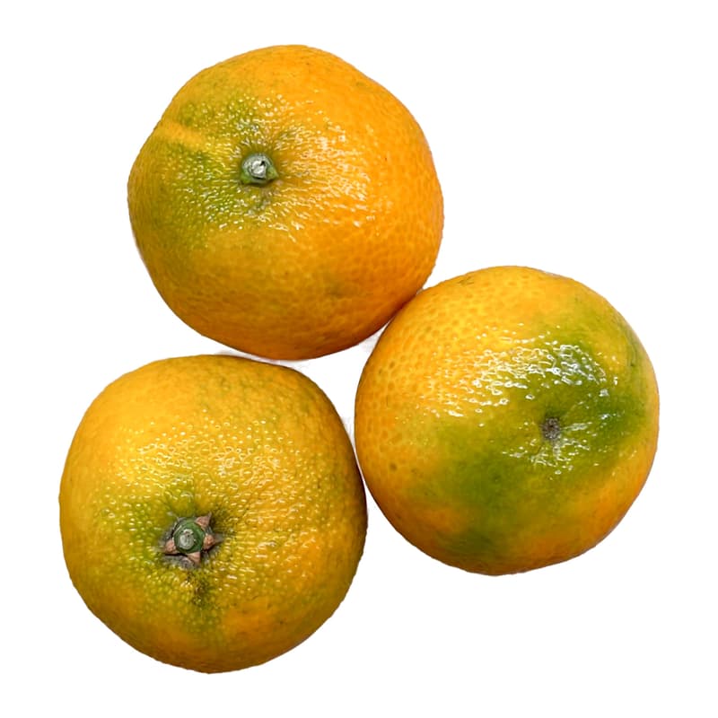 ECO Clementine din Sicilia