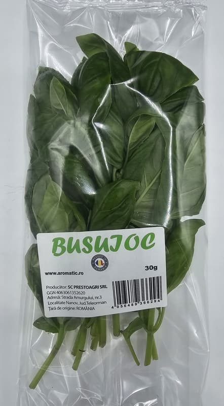Busuioc