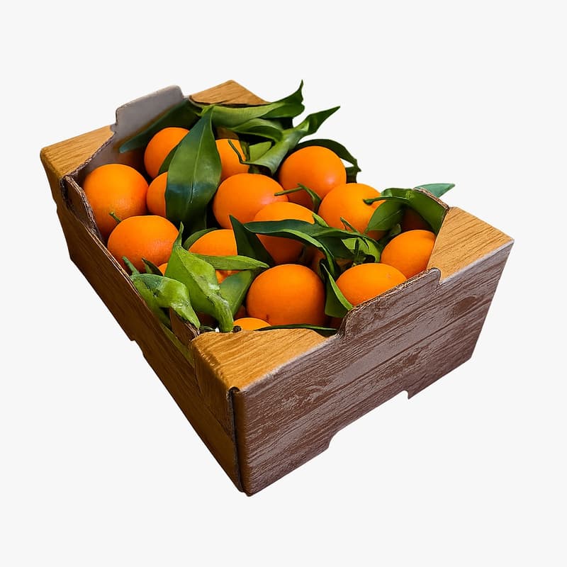 ECO Italian "Pitufo" clementines in a 2.3 kg crate