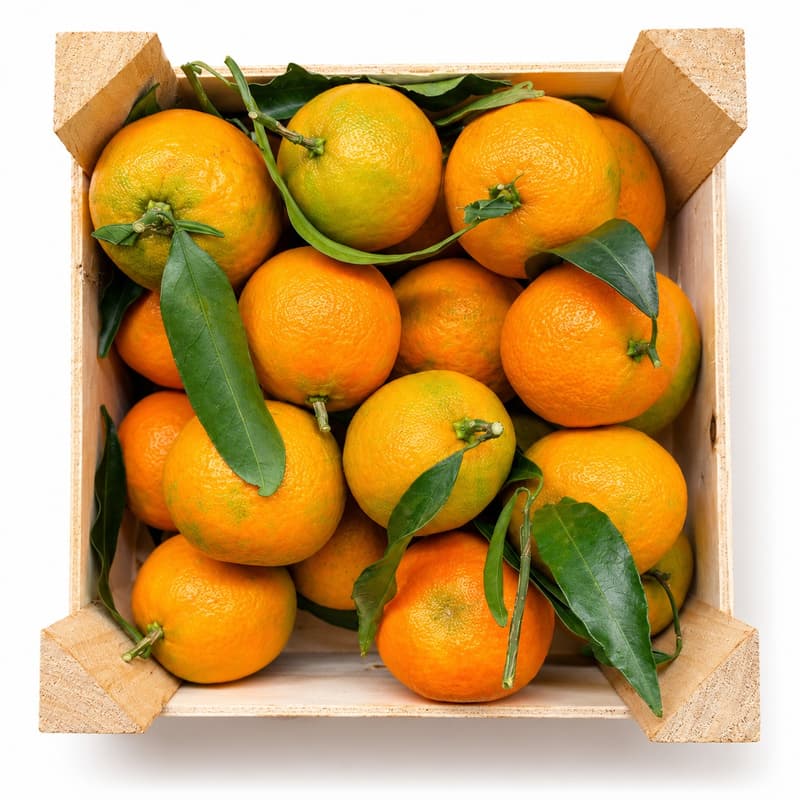 ECO Italian "Pitufo" clementines in a 2.3 kg crate
