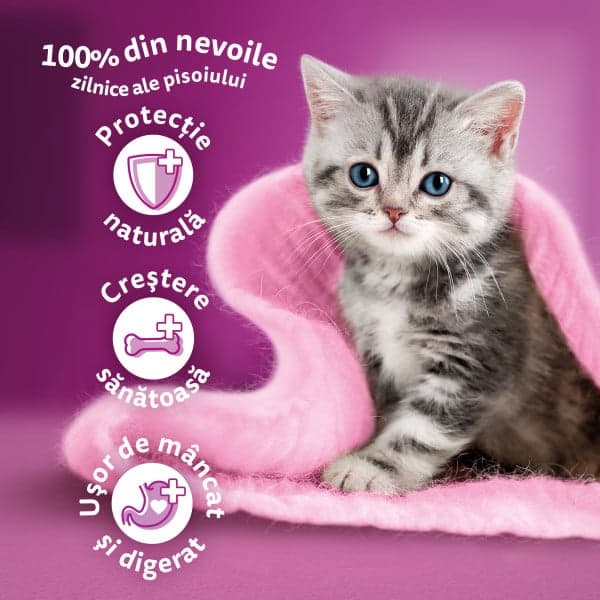 Whiskas Junior Wet Food for Junior Cats, Classic Selection in Meat Sauce 12 x 85 g