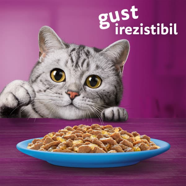 Whiskas Adult Cat Wet Food, Fish Selection in Jelly 12 x 85 g