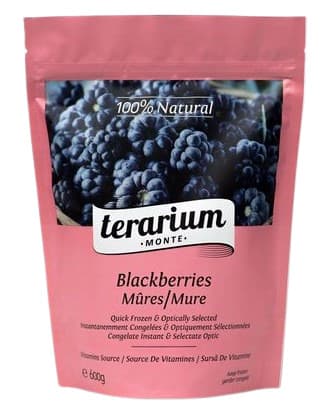 Terarium Gardena Mure congelate