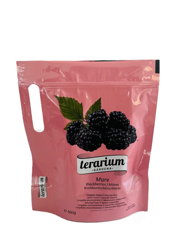 Terarium Gardena Mure congelate