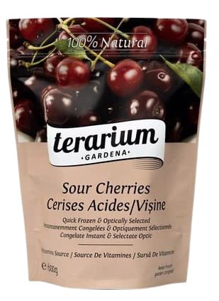 Terarium Visine