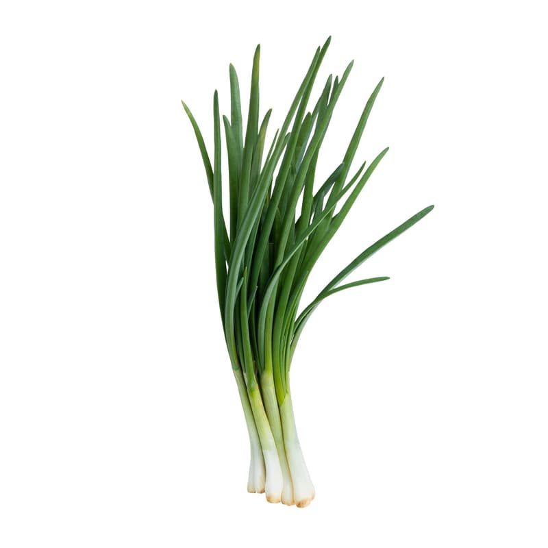 Cosul cu Fructe ECO Green Onion