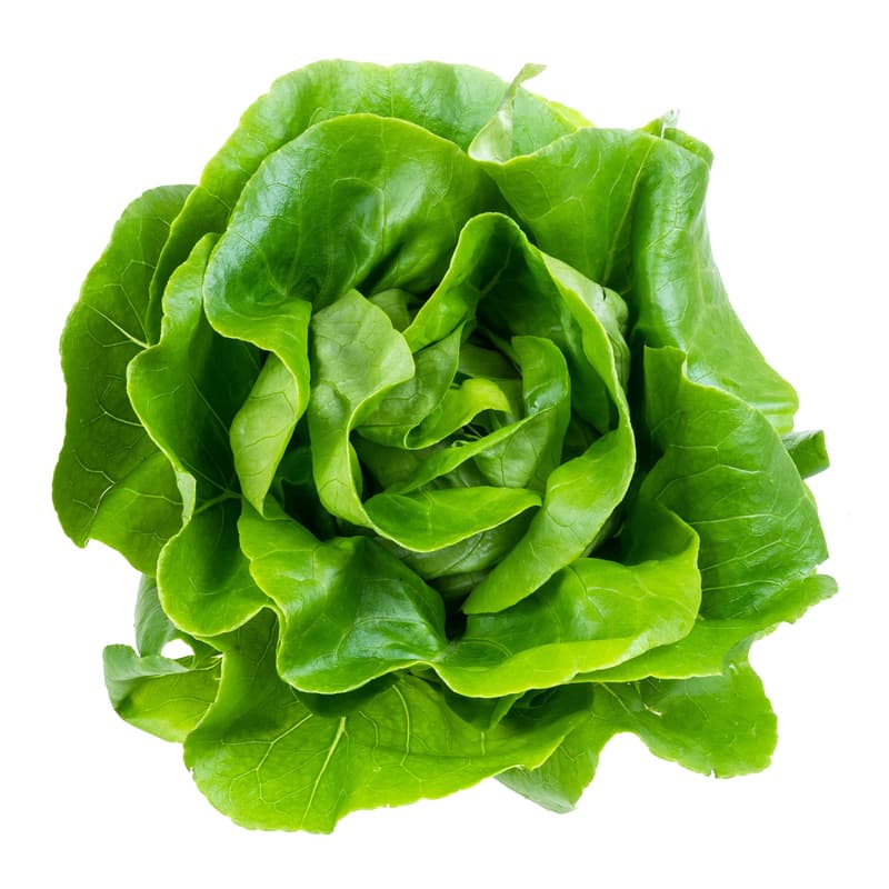 Salata verde Romania