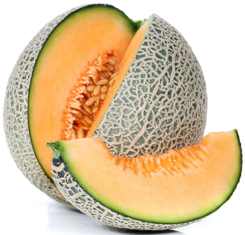 Cantaloupe Melon
