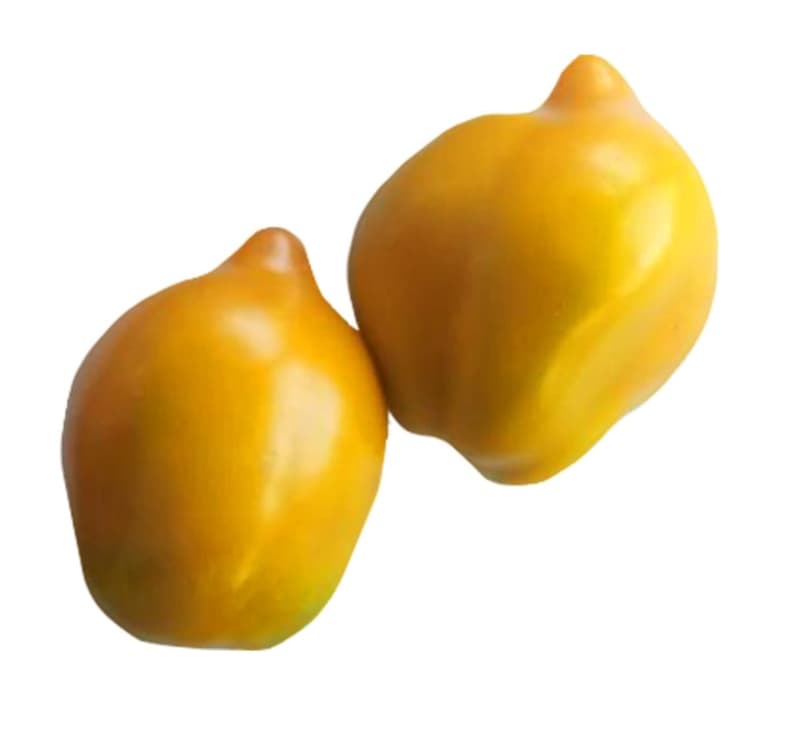 ECO Lemon Tomatoes in a tray