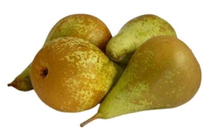ECO Conference Pears