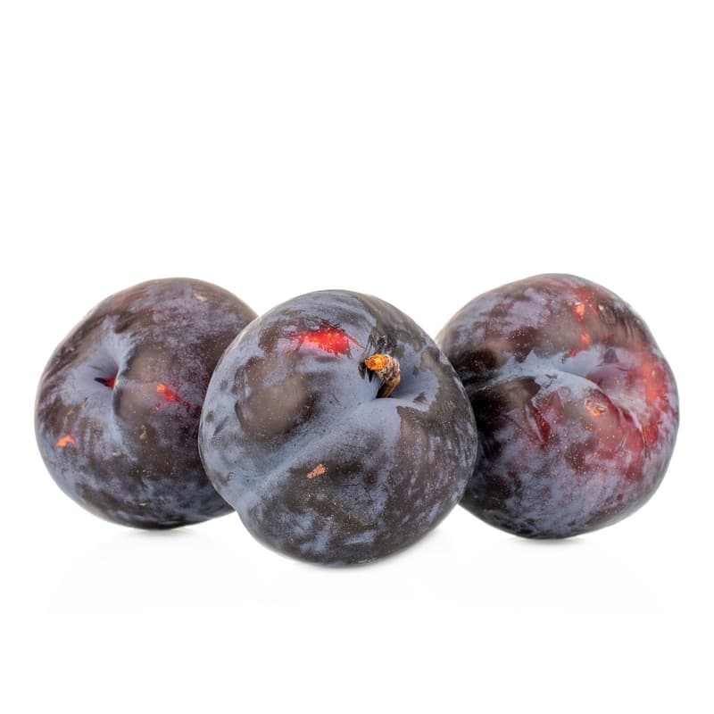 ECO Prune Larry Ann