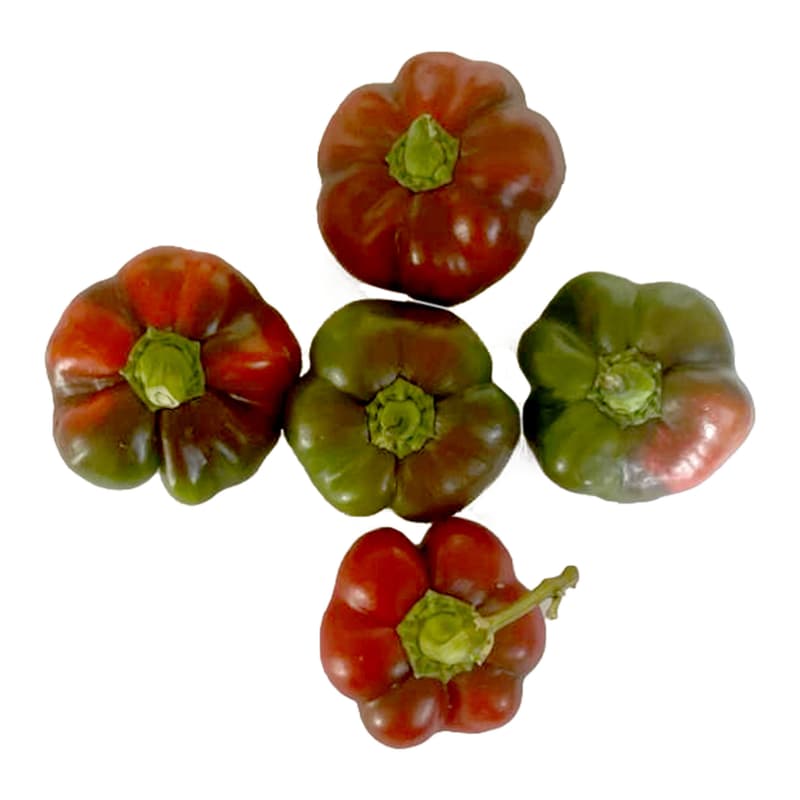 Cosul cu Fructe ECO Gogosari