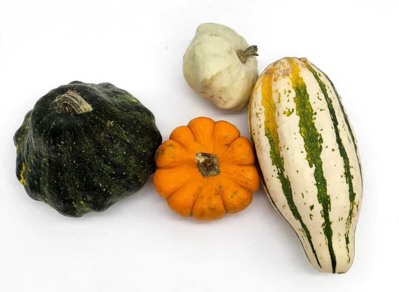Dovleci micuti decorativi diverse forme si culori (bucata)