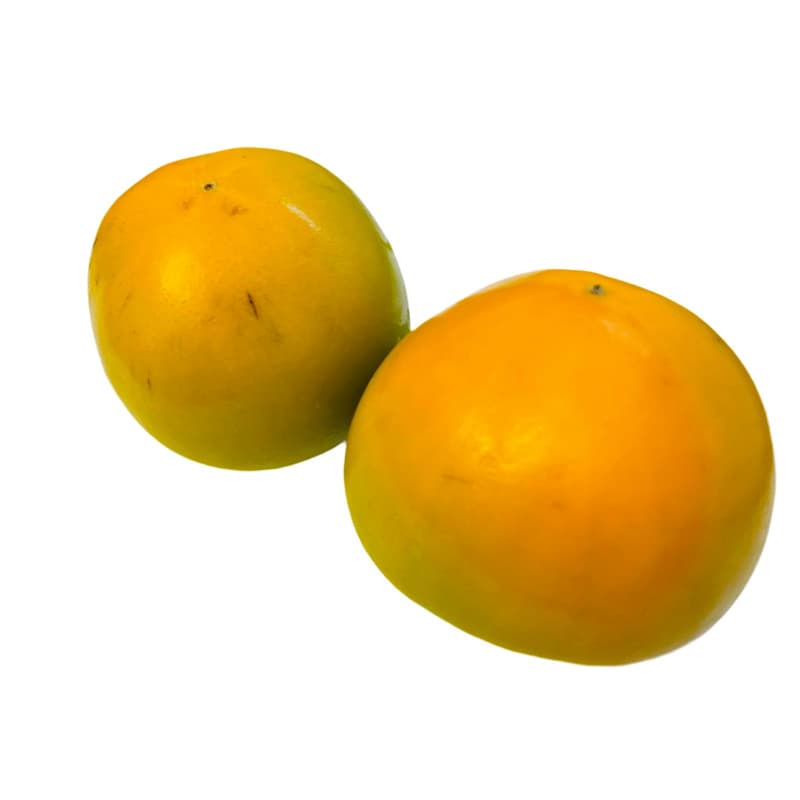 ECO Kaki