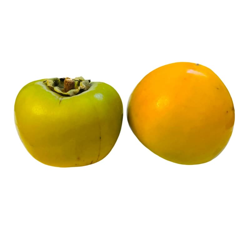 ECO Kaki