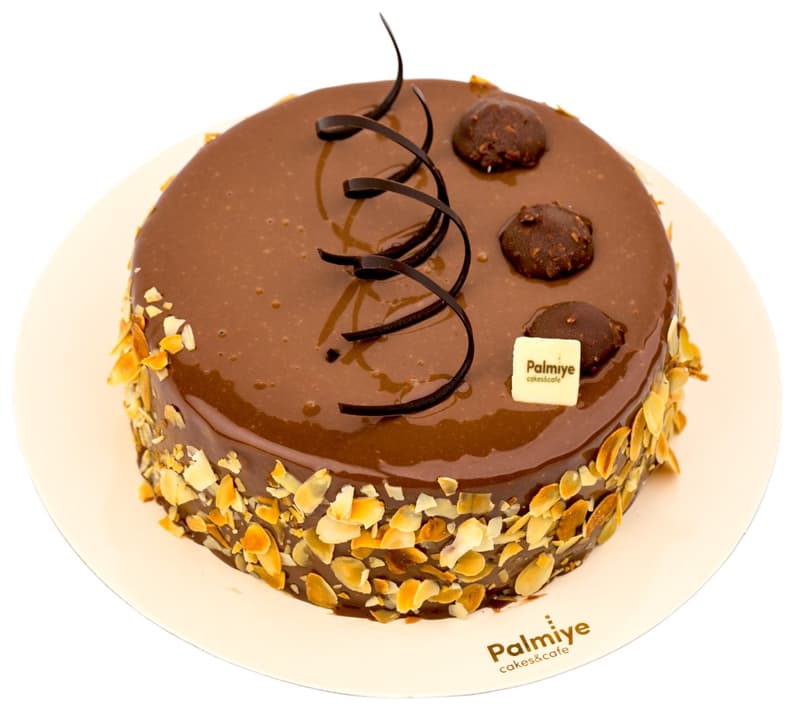 Palmiye Tort Choco Noisettes