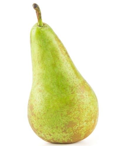 Pere Conference (bucata)