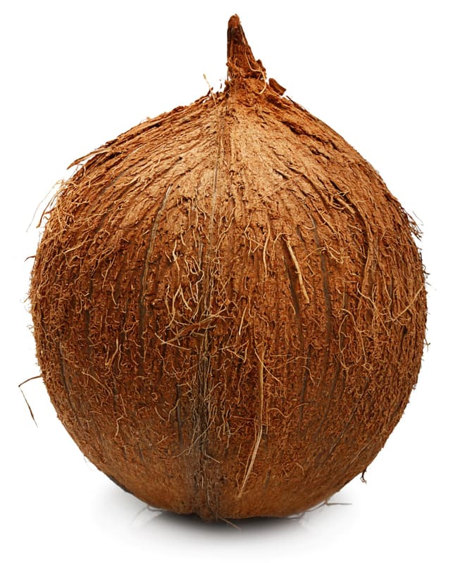 Coconut