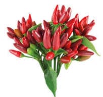 Ardei iuti rosii italieni (Pepperoncino) 50 GR ambalati