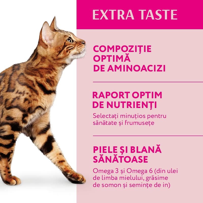 Optimeal Complete Dry Food for Adult Cats, with Beef