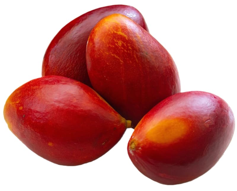 Mango premium copt soi Palmer by Air 400 gr+