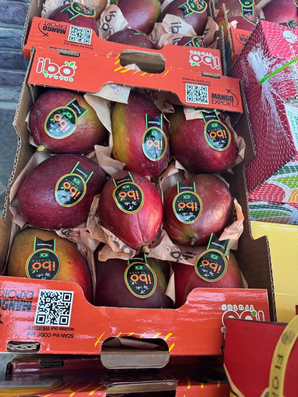 Mango premium copt soi Palmer by Air 400 gr+