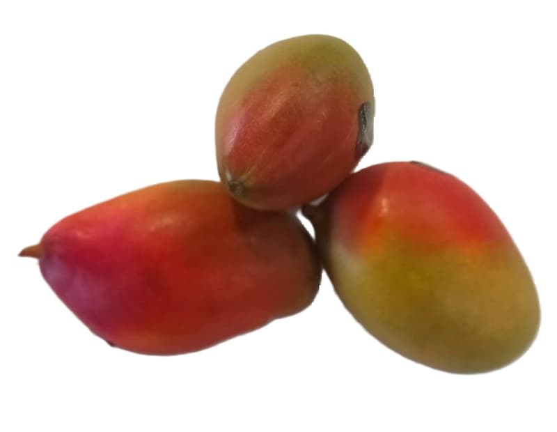 Mango premium copt soi Palmer by Air 400 gr+