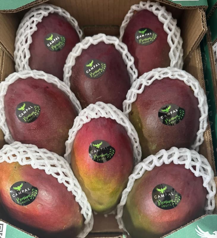 Mango premium copt soi Palmer by Air 400 gr+
