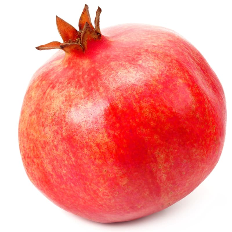 Rodii