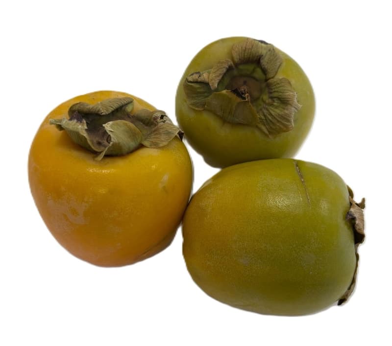 Kaki verde-galben  din Italia bucata
