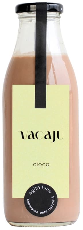 Vacaju Cashew Drink with Chocolate