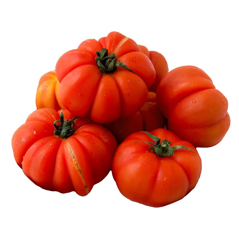 Rosii taranesti de gradina (bucata)