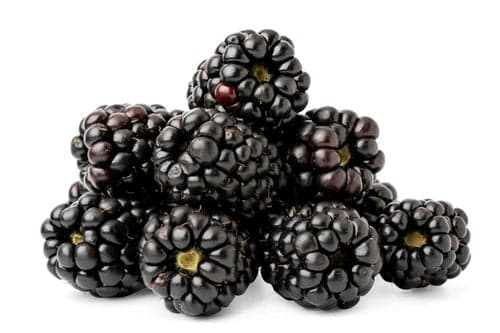 ECO Blackberries from the mountins