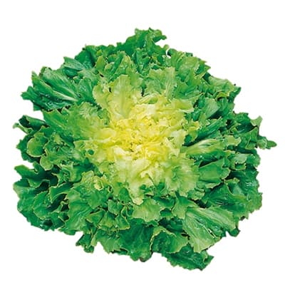 Salata Scarola