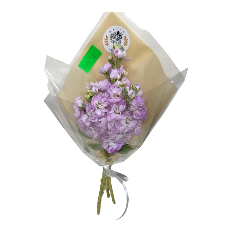 Buchet Sezamo Daily