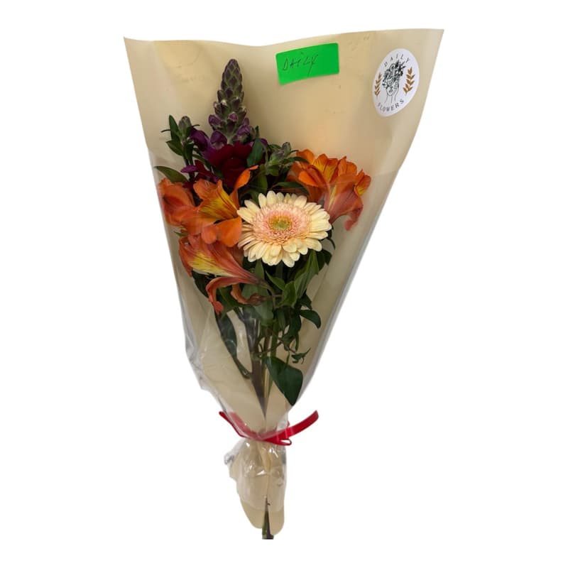 Buchet Sezamo Daily