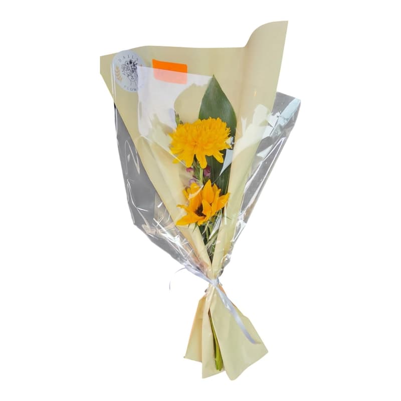 Buchet Sezamo Daily