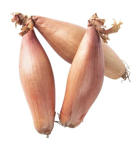 Shallots