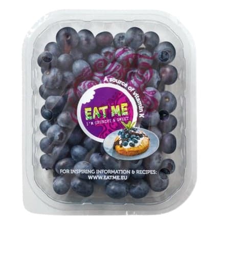 Blueberries casserole