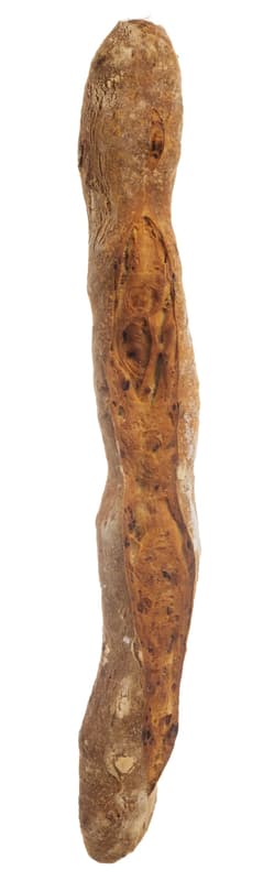Bakery Baguette with sourdough and fried onion
