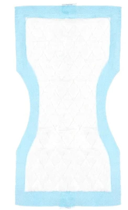 Canpol Babies Postnatal Absorbent