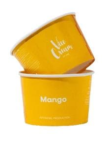 ViceCream Mango Artisanal Ice Cream