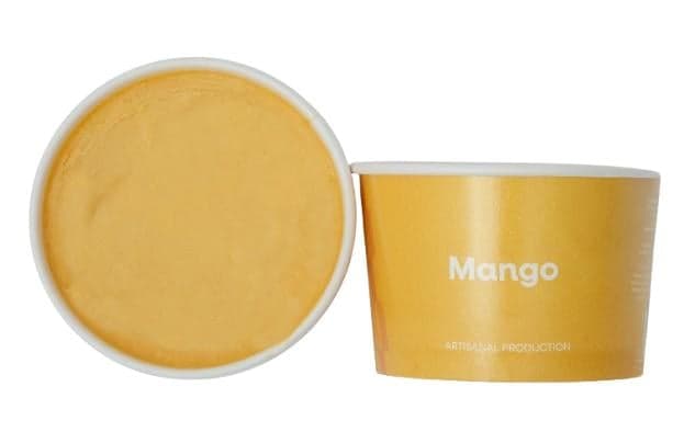 ViceCream Mango Artisanal Ice Cream