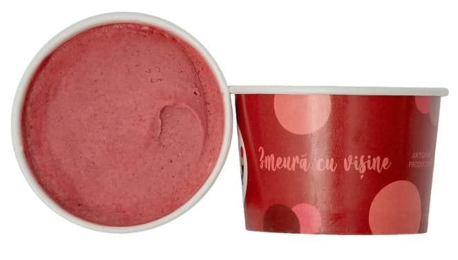 ViceCream artisanal raspberry ice cream with sour cherries